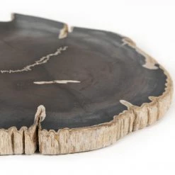 Fourhands Petrified Wood Slab Best Sellers