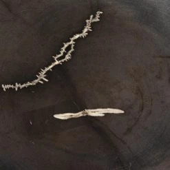 Fourhands Petrified Wood Slab Best Sellers