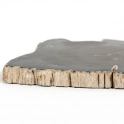 Fourhands Petrified Wood Slab Best Sellers