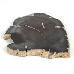 Fourhands Petrified Wood Slab Best Sellers