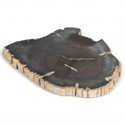 Fourhands Petrified Wood Slab Best Sellers
