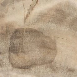 Fourhands Petrified Wood Slab Best Sellers