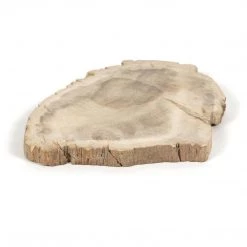 Fourhands Petrified Wood Slab Best Sellers