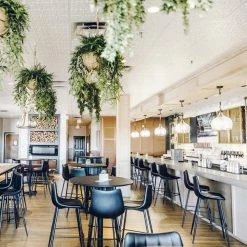 MOES Best Sellers Alibi Bar + Counter Stool