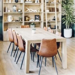 MOES Best Sellers Alibi Dining Chair