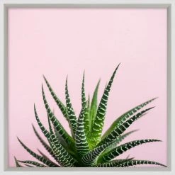WENDOVER Aloe Wall Art