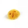 FAIRE BED + BATH Sea Sponge