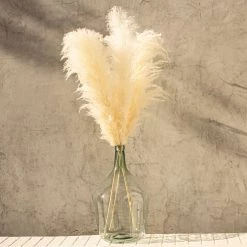 Yunnan Dianfeng Flower Technology Co. Ltd Bleached Pampas Grass, Set Of 3 HOME DECOR