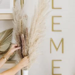 Yunnan Dianfeng Flower Technology Co. Ltd Brown Petite Pampas Best Sellers