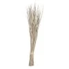 CREATIVE CO OP Bunch Of Dried Palm Leaf