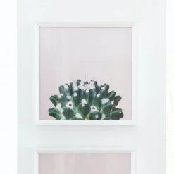 WENDOVER Cacti Wall Art Best Sellers