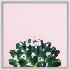 WENDOVER Cacti Wall Art Best Sellers