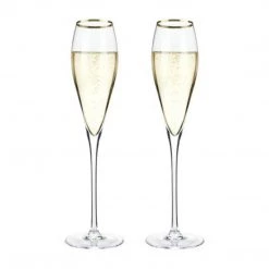 True Brands Calabasas Champagne Flute New Kitchen