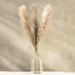 Yunnan Dianfeng Flower Technology Co. Ltd Dark Gray Pampas, Set Of 3