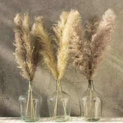 Yunnan Dianfeng Flower Technology Co. Ltd Dark Gray Pampas, Set Of 3