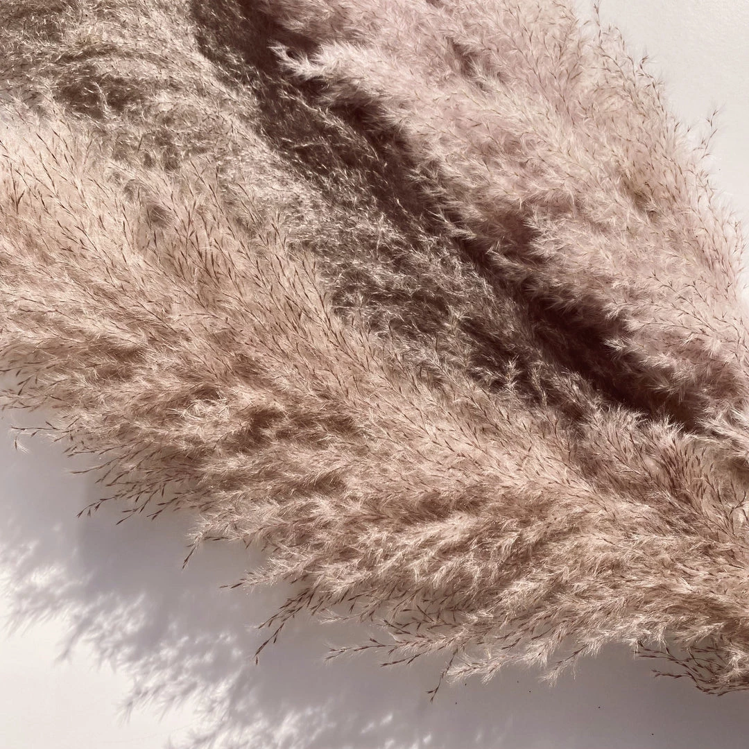 Yunnan Dianfeng Flower Technology Co. Ltd Dark Gray Pampas, Set Of 3