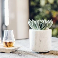 BIDK HOME Delaney Marble Canister Best Sellers