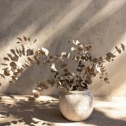 Yunnan Dianfeng Flower Technology Co. Ltd Eucalyptus Leaf Featured Collections