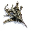Yunnan Dianfeng Flower Technology Co. Ltd Eucalyptus Leaf Featured Collections