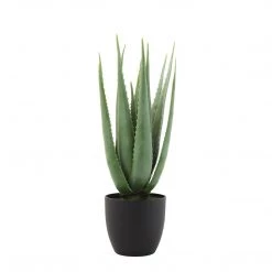 CREATIVE CO OP Faux Aloe With Pot Best Of Home Decor