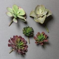 GOLD LEAF ART GROUP Faux Dusty Paddle Succulent