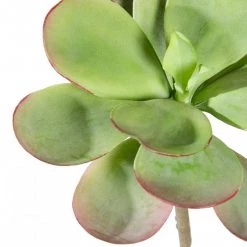 GOLD LEAF ART GROUP Faux Dusty Paddle Succulent