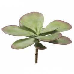 GOLD LEAF ART GROUP Faux Dusty Paddle Succulent