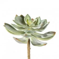 GOLD LEAF ART GROUP Faux Ghost Succulent