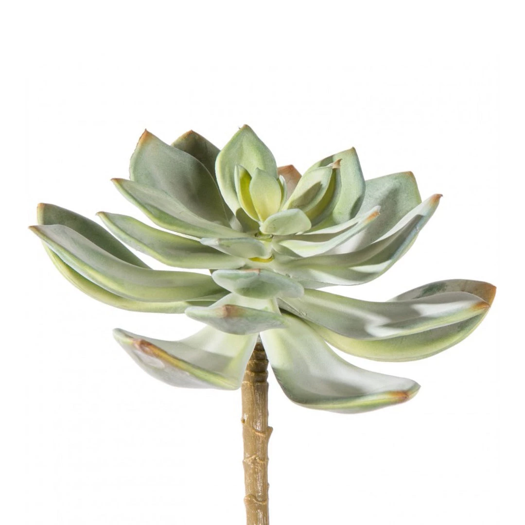 GOLD LEAF ART GROUP Faux Ghost Succulent