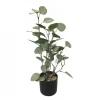 BIDK HOME Faux Money Leaf Plant Best Sellers