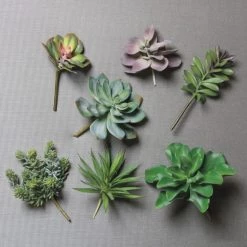 GOLD LEAF ART GROUP HOME DECOR Faux Spike Succulent