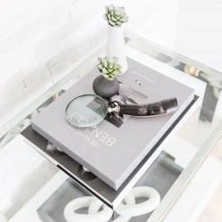 CREATIVE CO OP Faux Succulent Branch Best Sellers