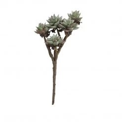 CREATIVE CO OP Faux Succulent Branch Best Sellers