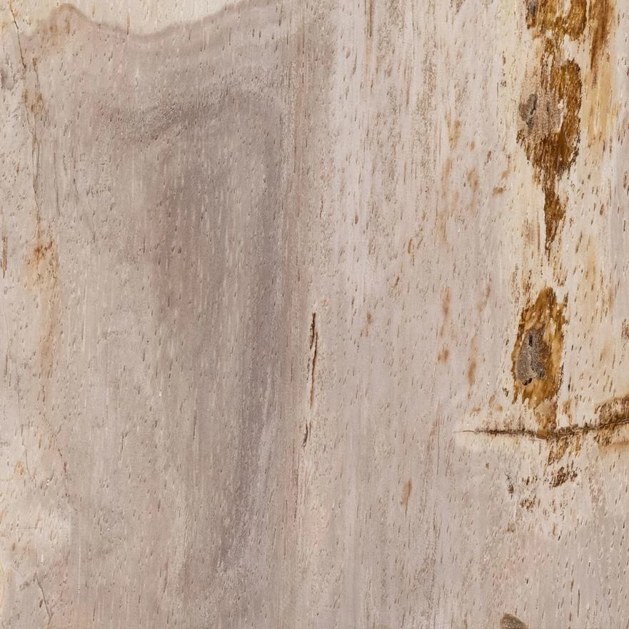 Fourhands Best Sellers Galen End Table