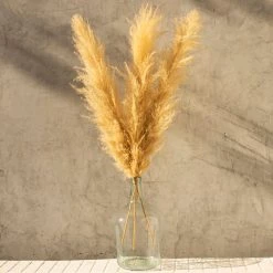 Yunnan Dianfeng Flower Technology Co. Ltd Golden Pampas Grass