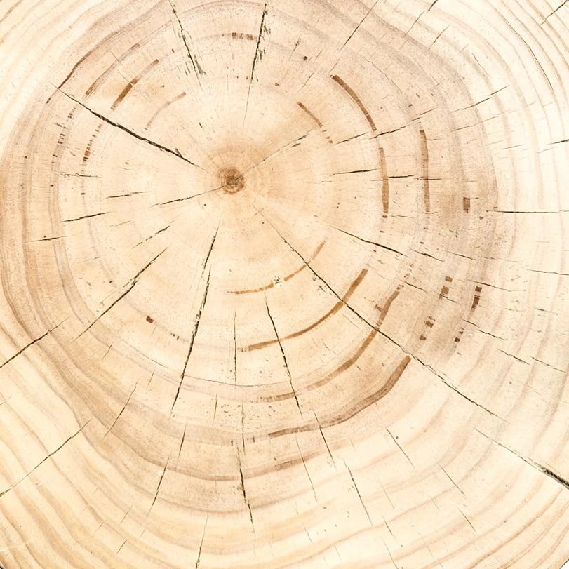 Fourhands Best Sellers Inez End Table