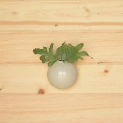 HomArt Best Sellers Josie Wall Bubble