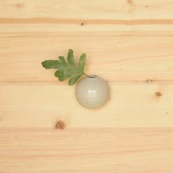 HomArt Best Sellers Josie Wall Bubble