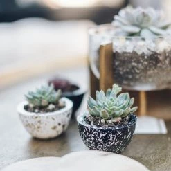 MOMMA POTS In Stock Jubilee Pots