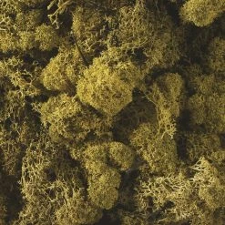 Accent Decor Best Sellers Kate's Moss