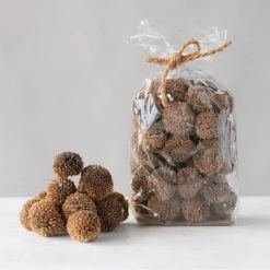 CREATIVE CO OP Best Sellers Lion's Ear