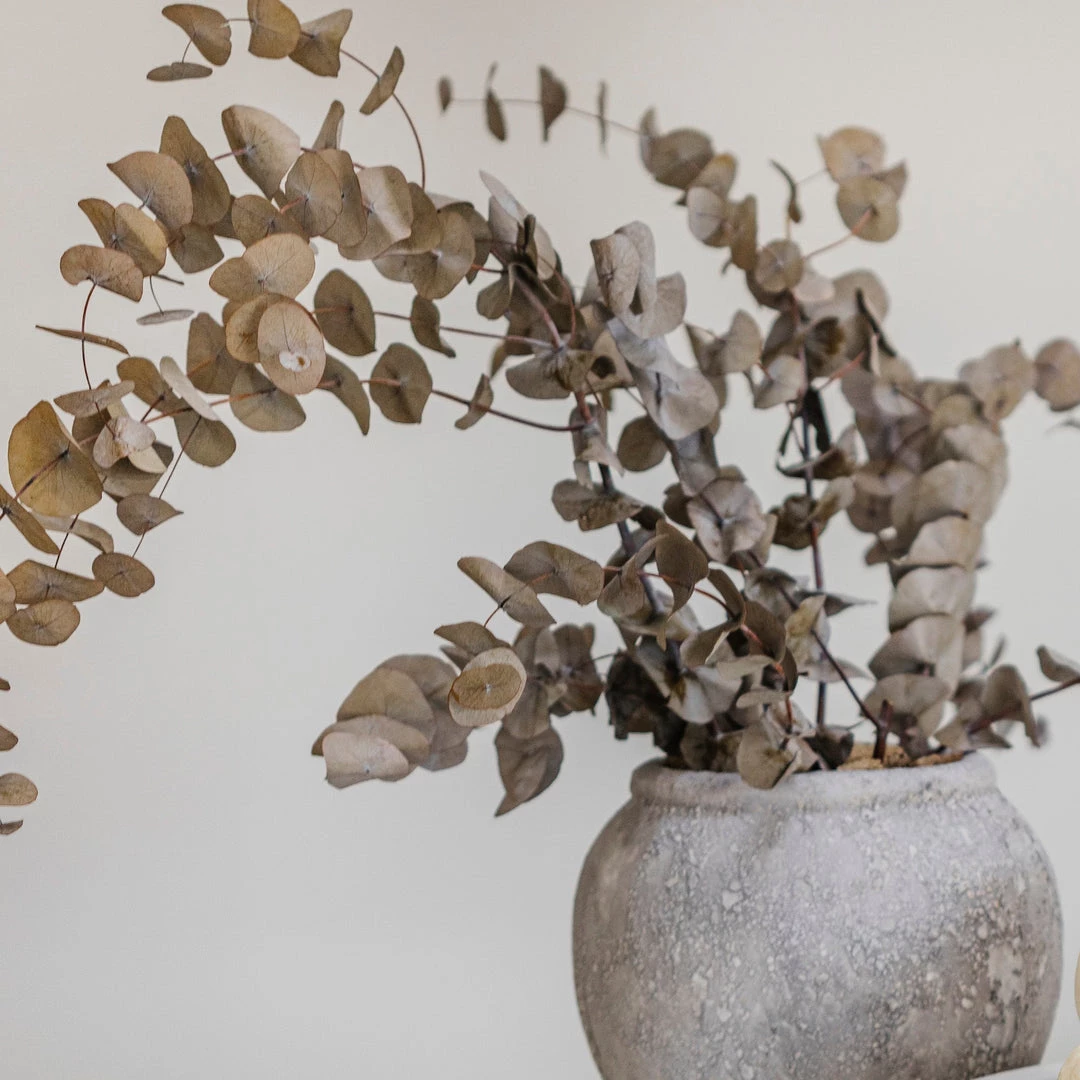 BIDK HOME Luna Pot Best Sellers