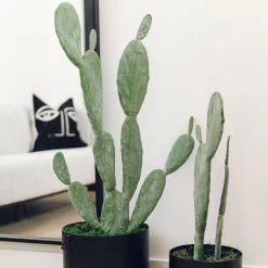CREATIVE CO OP Medium Faux Cactus