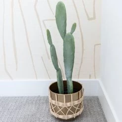 CREATIVE CO OP Medium Faux Cactus