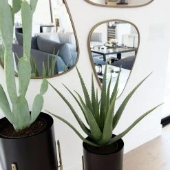 CREATIVE CO OP Medium Faux Cactus