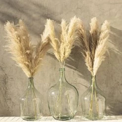 Yunnan Dianfeng Flower Technology Co. Ltd Natural Luxe Pampas Grass