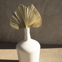 Yunnan Dianfeng Flower Technology Co. Ltd Natural Palm Spears Featured Collections