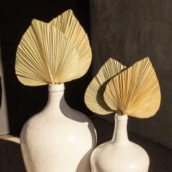 Yunnan Dianfeng Flower Technology Co. Ltd Natural Palm Spears Featured Collections