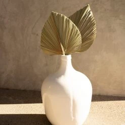 Yunnan Dianfeng Flower Technology Co. Ltd Olive Palm Spears Featured Collections