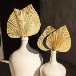 Yunnan Dianfeng Flower Technology Co. Ltd Olive Palm Spears Featured Collections